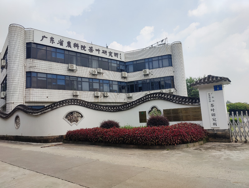 卓水越常規(guī)分析型超純水機(jī)案例分享之廣東省農(nóng)科院茶葉研究所篇